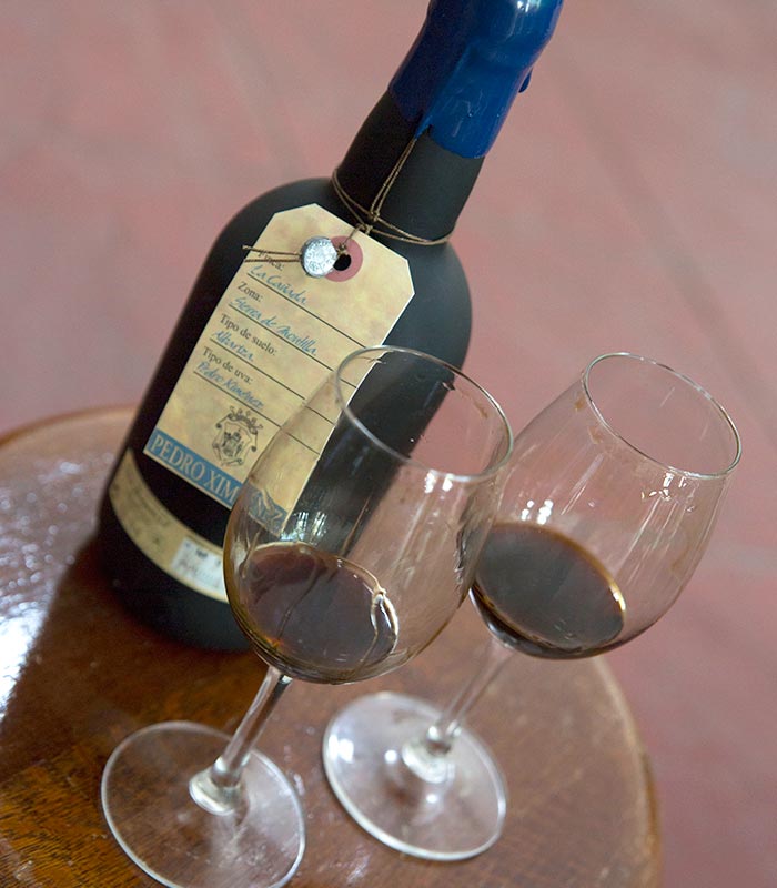 Pedro Ximénez vineyards