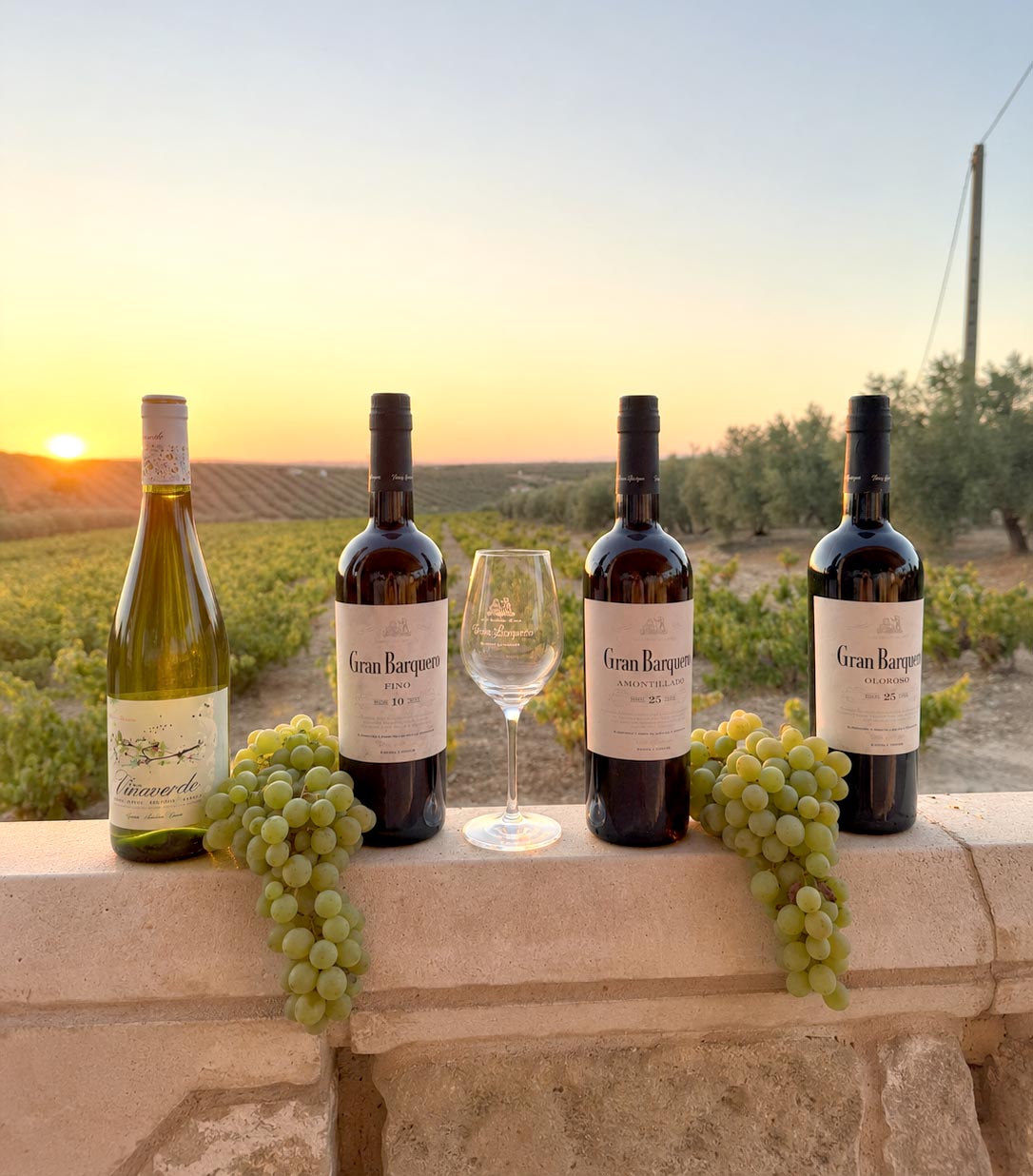 Wine retail
