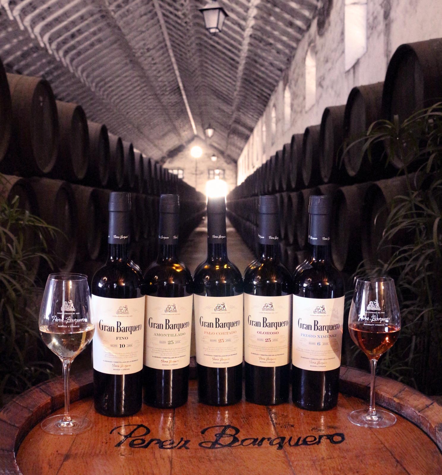 Visita Bodega Pérez Barquero