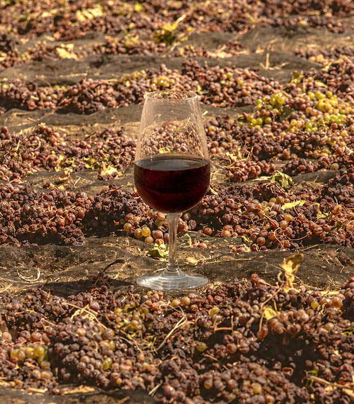 Port alternative PX wine